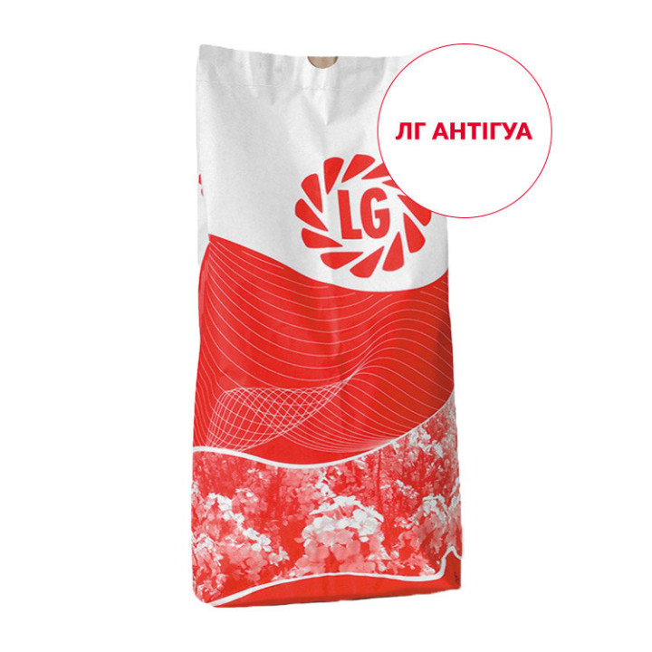 LG Antigua / ЛГ Антігуа