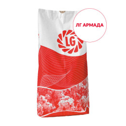 LG ARMADA / ЛГ АРМАДА
