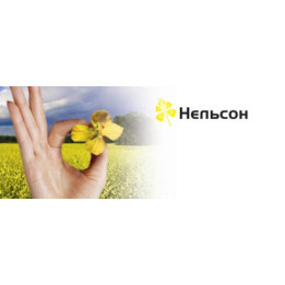 Nelson / Нельсон