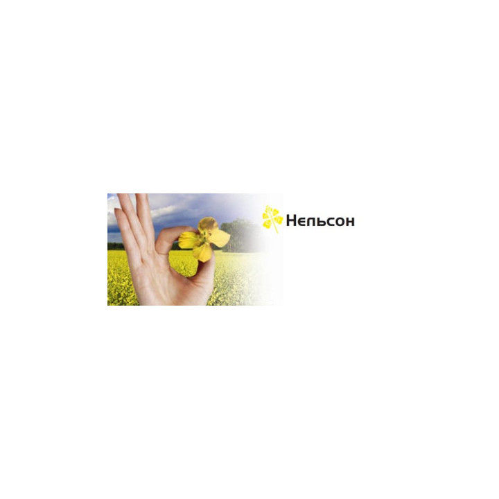 Nelson / Нельсон