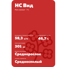 NS Vid / НС Від