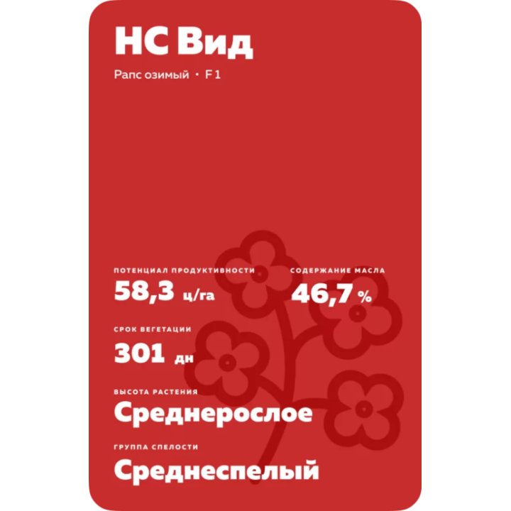 NS Vid / НС Від