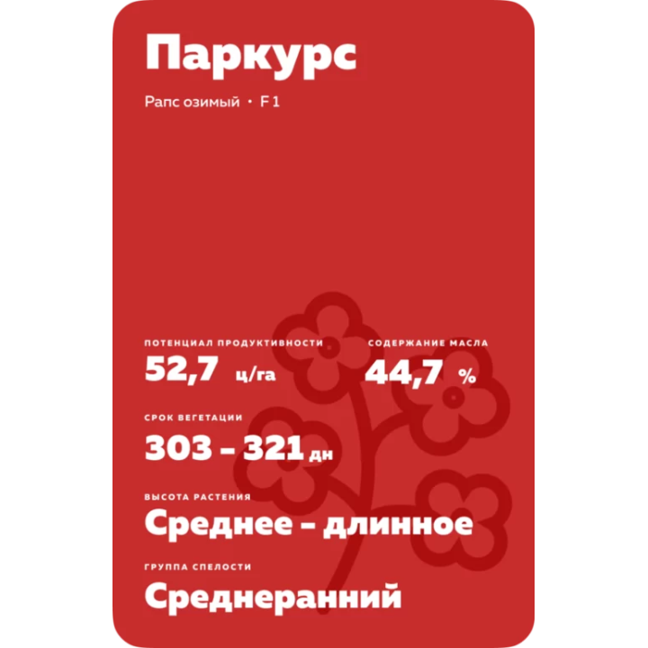 PARCOURS / ПАРКУРС