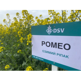 Romeo / Ромео