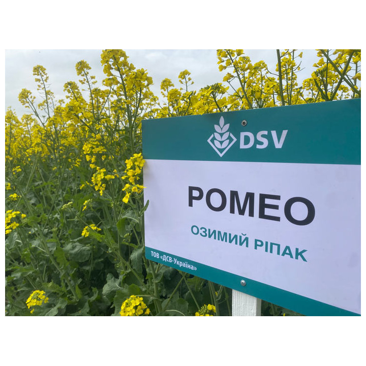 Romeo / Ромео