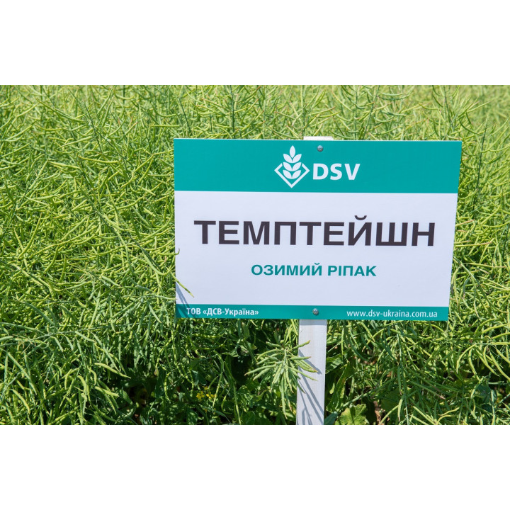 Temptation / Темптейшн