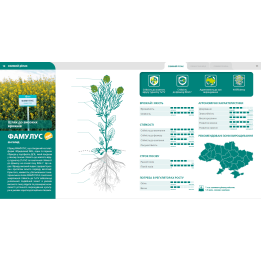 Famulus / Фамулус