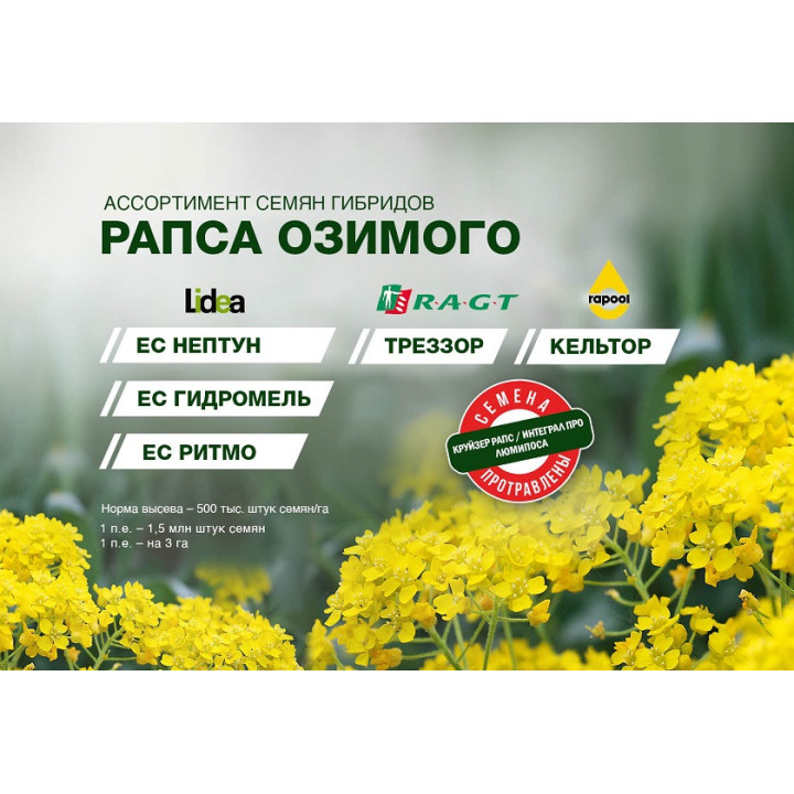 ЕС Нептун