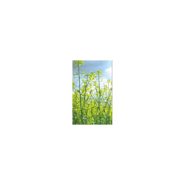 PR45D01 / ПР45Д01