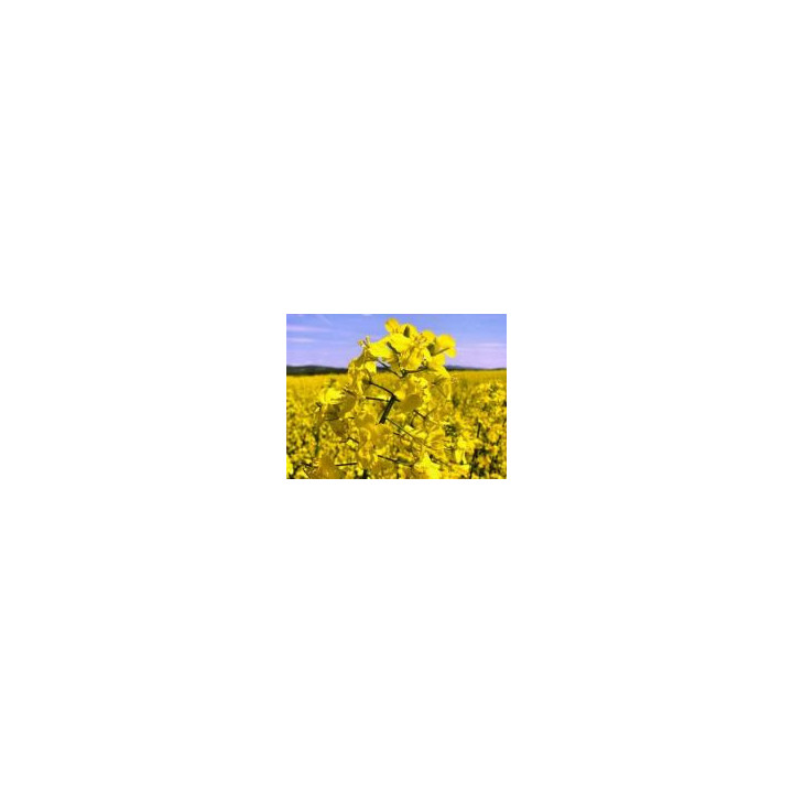 PR45D05 / ПР45Д05