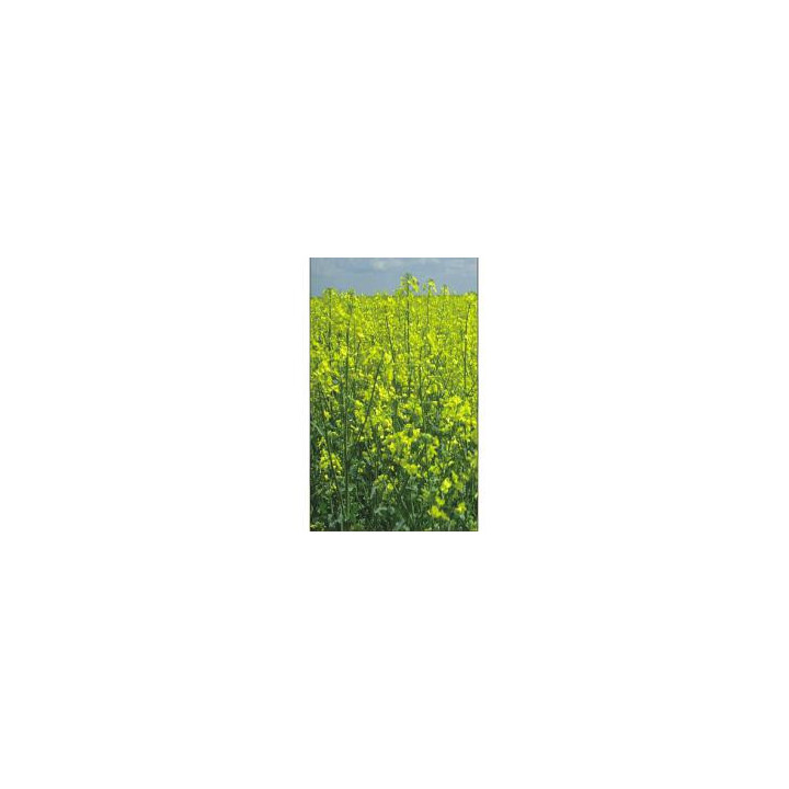 PR46W10 / ПР46В10