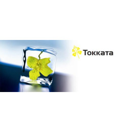 Toccata / Токата