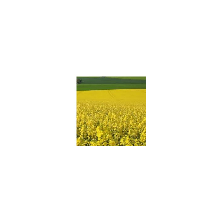 CLICK CL / КЛІК КЛ