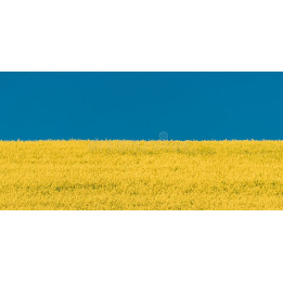 Лужок