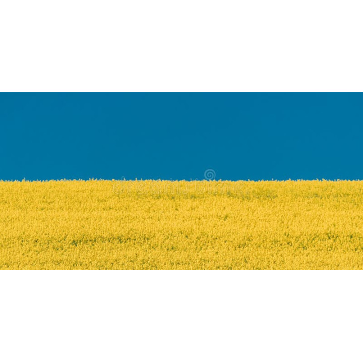 Лужок