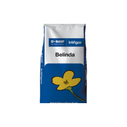 Belinda / Белінда