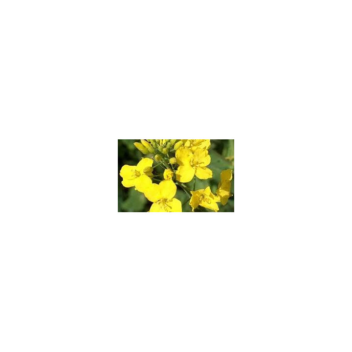 PR46H75 / ПР46Х75