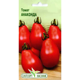 Анаконда
