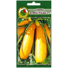 Atena Polska F1