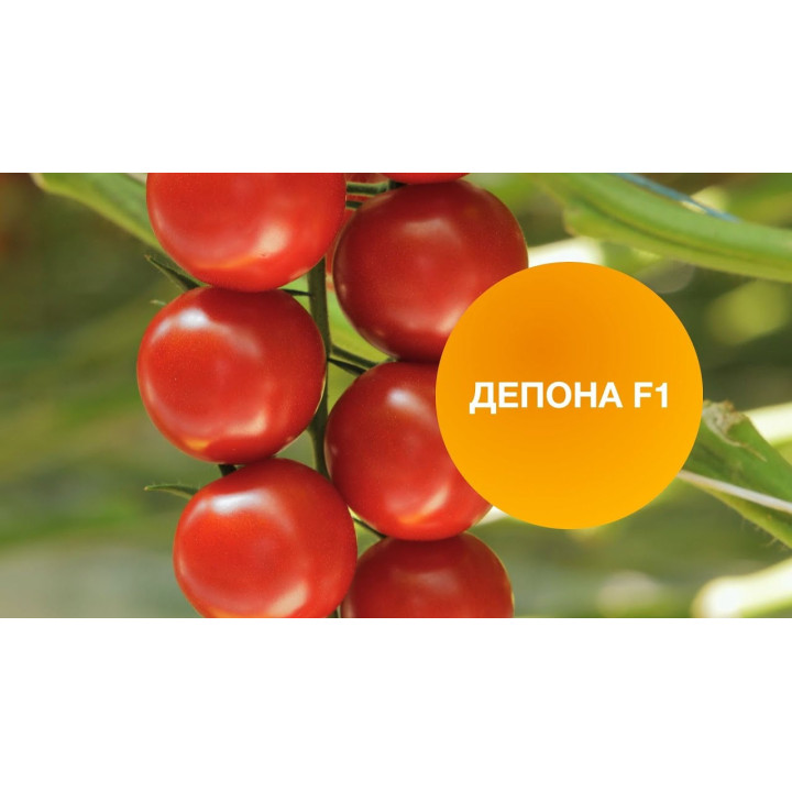 DEPONA / ДЕПОНА