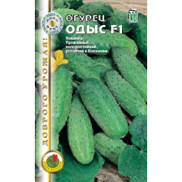 ОДЫС F1