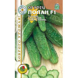ПОЛАН F1