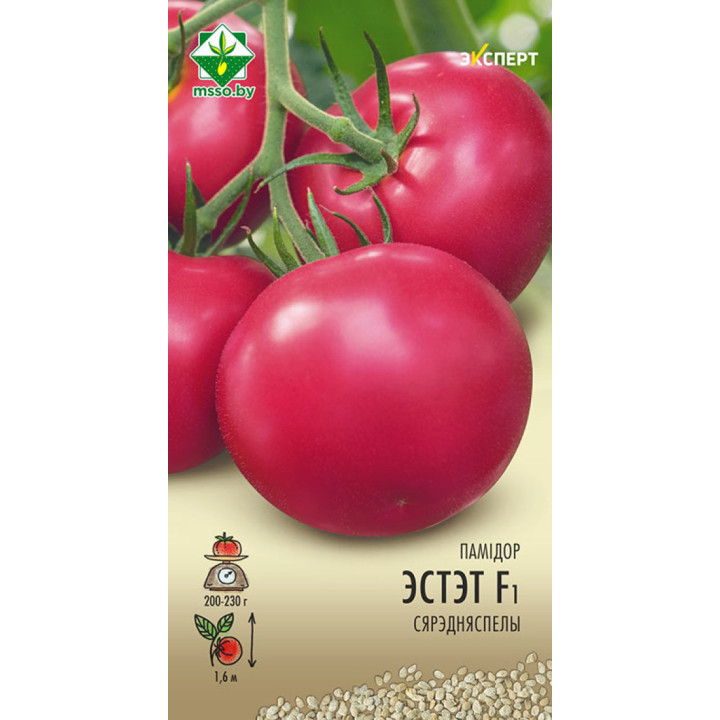 ESTET / ЕСТЕТ