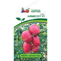Камелот