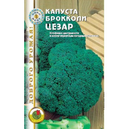 ЦЕЗАР / CESAR