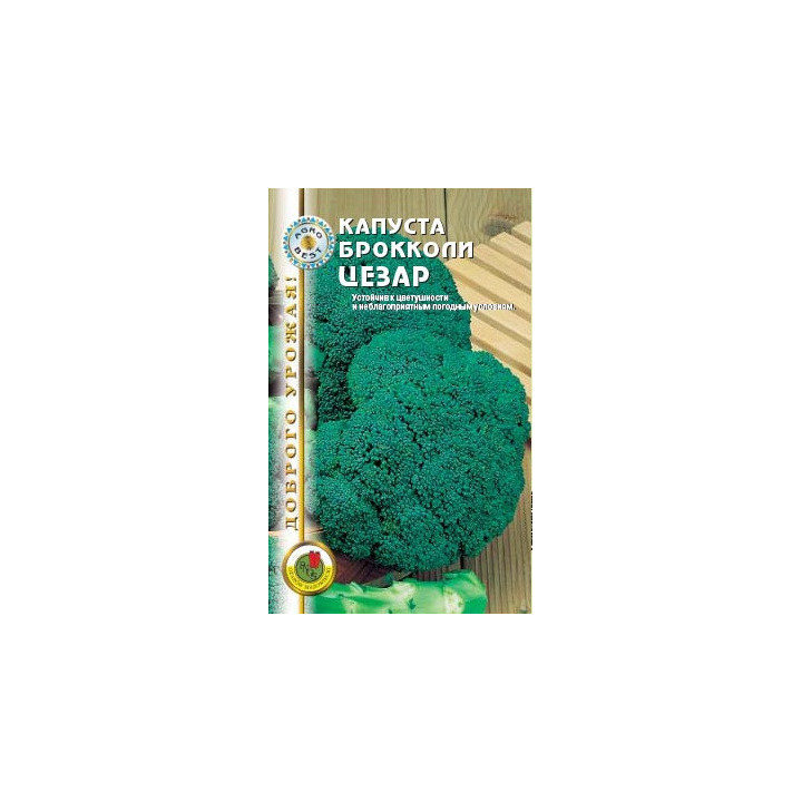 ЦЕЗАР / CESAR