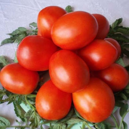 Кумач