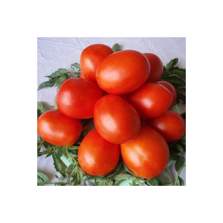 Кумач