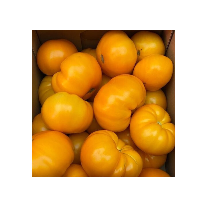 Kumbulu / Кумбулу