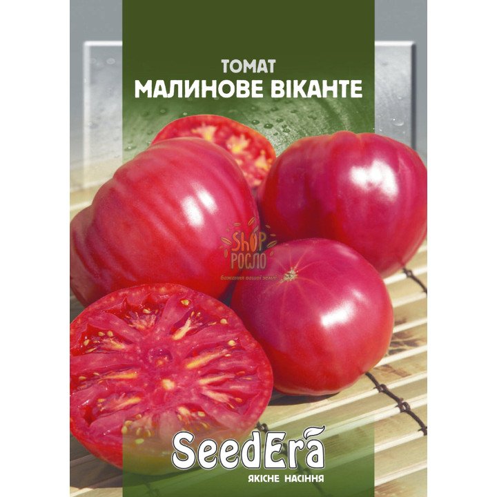 Малинове Віканте