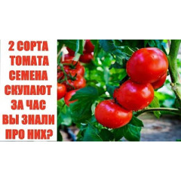 N 0296 / Н 0296