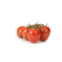 Plumola / Плумола