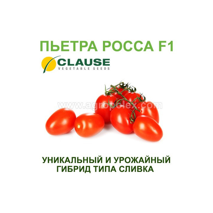 Побратим F1