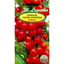 Pokusa / Покуса