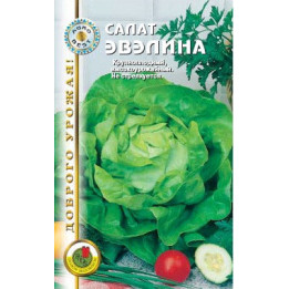 ЭВЕЛИНА
