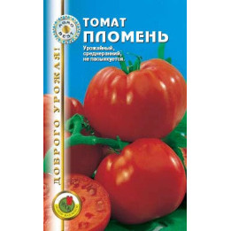 ПЛОМЕНЬ