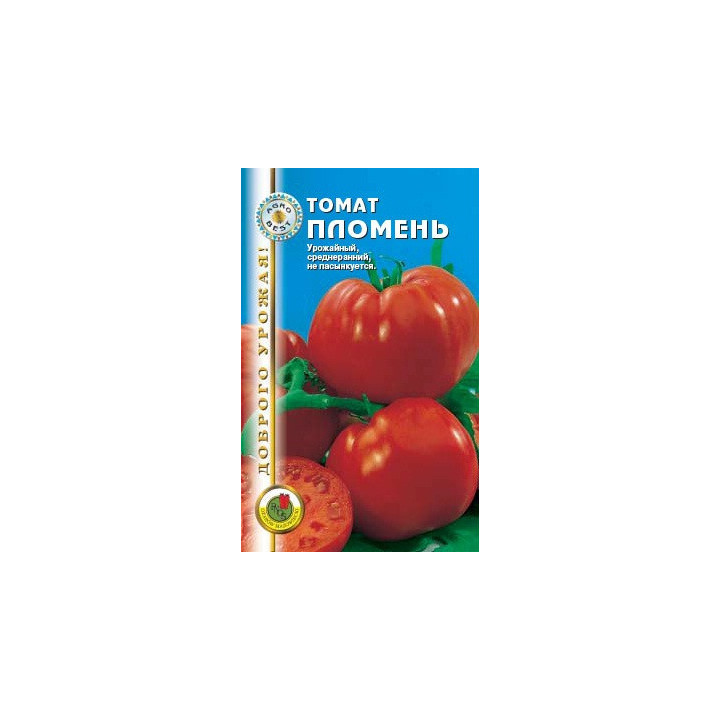 ПЛОМЕНЬ