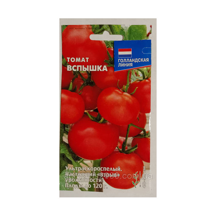 Спалах