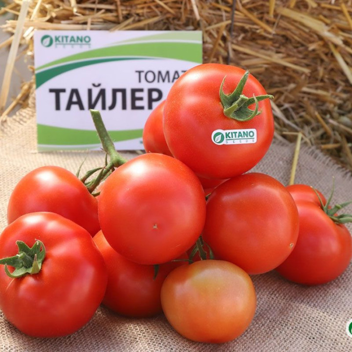 Tailer / Тайлер