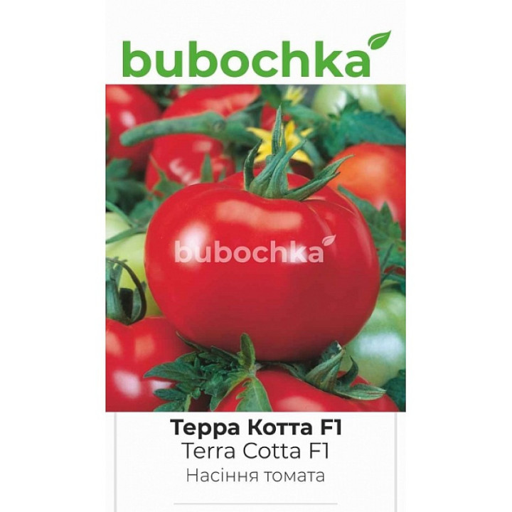 Terra Cotta F1 / Терра Кота F1