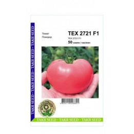 ТЕХ2721