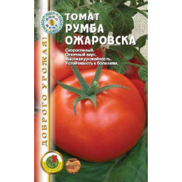РУМБА ОЖАРОВСКА / RUMBA OZAROWSKA