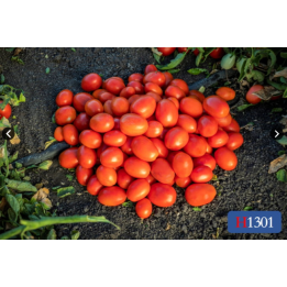 Heinz1301 / Хайнц1301