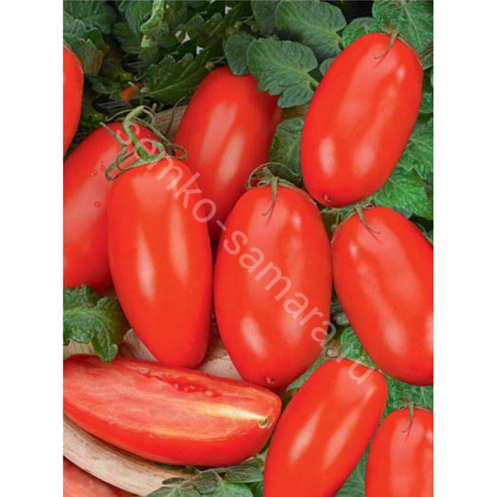 Hyppel 108 F1 / Хайпил 108 F1