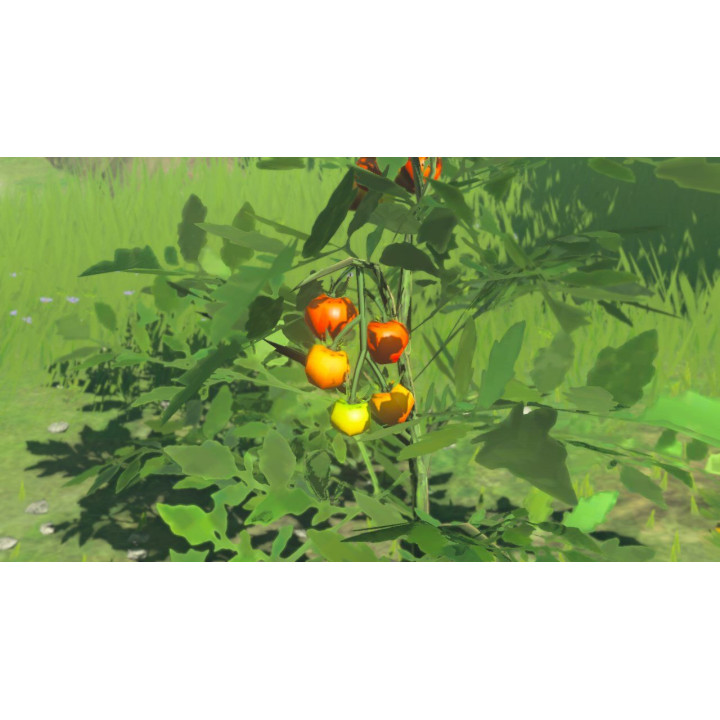 Hyrule / Хайрул