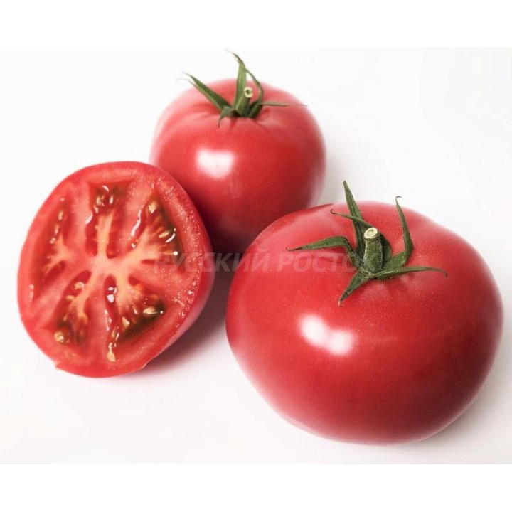 HAKUMARU / ХАКІМАРУ